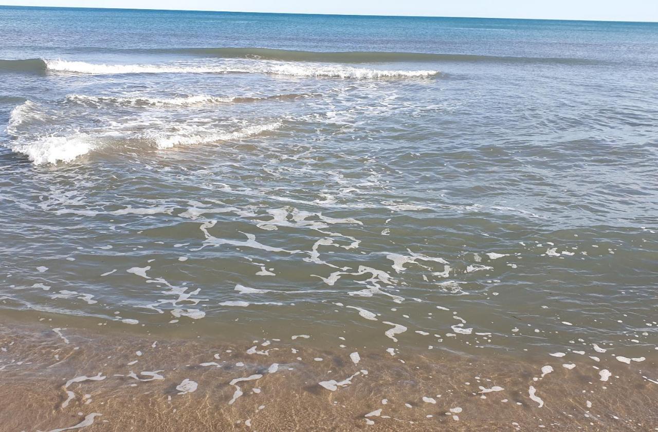 Villa Alicante Sunbeach El Campello Eksteriør billede